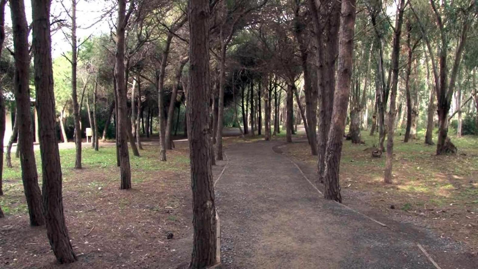 B&B Pineta Mare Lamezia Terme Exterior foto